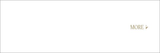 bnrhalf_scaffolding
